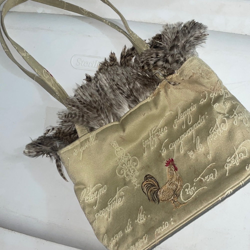 SALE💚
 Lynn Carmelo purse🐓